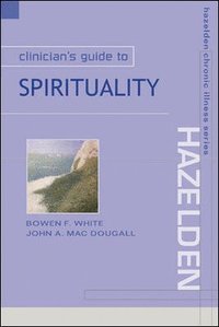 bokomslag Clinician's Guide to Spirituality