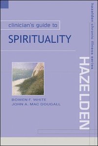 bokomslag Clinicians Guide to Spirituality