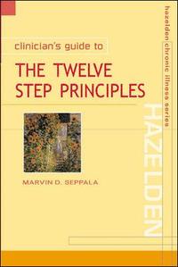 bokomslag Clinician's Guide to the 12 Step Principles
