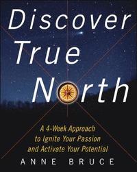 bokomslag Discover True North