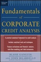 bokomslag Standard & poors fundamentals of corporate credit analysis