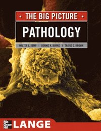 bokomslag Pathology: The Big Picture