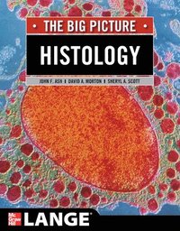 bokomslag Histology: The Big Picture