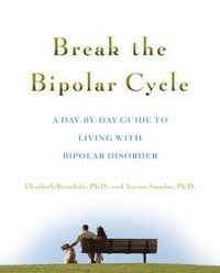 bokomslag Break the Bipolar Cycle