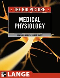 bokomslag Medical Physiology: The Big Picture