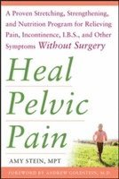 bokomslag Heal Pelvic Pain: The Proven Stretching, Strengthening, and Nutrition Program for Relieving Pain, Incontinence,& I.B.S, and Other Symptoms Without Surgery