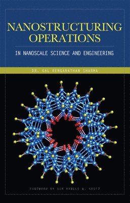 bokomslag Nanostructuring Operations in Nanoscale Science and Engineering