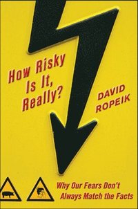 bokomslag How Risky Is It, Really?: Why Our Fears Don't Always Match the Facts