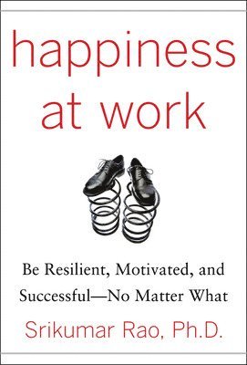 Happiness at Work: Be Resilient, Motivated, and Successful - No Matter What 1