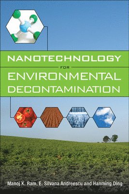 Manoj Ram, E. Silvana Andreescu, Ding Hanming - Nanotechnology for Environmental Decontamination, Inbunden