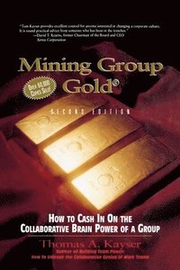 bokomslag Mining Group Gold