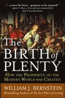 bokomslag The Birth of Plenty: How the Prosperity of the Modern Work was Created