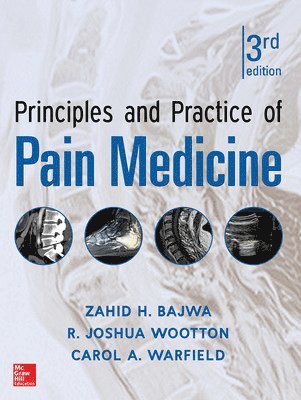 bokomslag Principles and Practice of Pain Medicine 3rd Edition