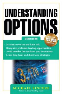 bokomslag Understanding Options 2E