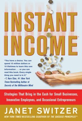 Janet Switzer - Instant Income: Strategies That Bring in the Cash, Häftad