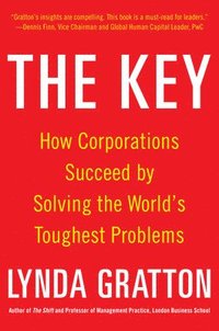 bokomslag The Key: How Corporations Succeed by Solving the World's Toughest Problems