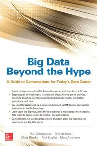 bokomslag Big Data Beyond the Hype: A Guide to Conversations for Todays Data Center
