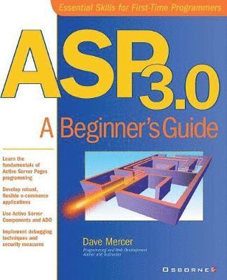 Dave Mercer - ASP 3.0, Häftad