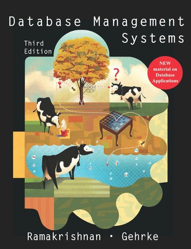 Raghu Ramakrishnan, Johannes Gehrke - Database Management Systems, Inbunden