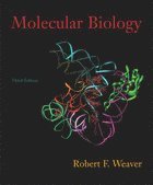 bokomslag Molecular Biology