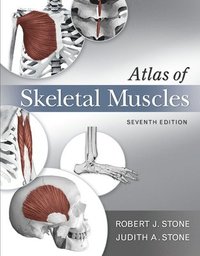 bokomslag Atlas of Skeletal Muscles
