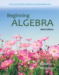 bokomslag Beginning Algebra