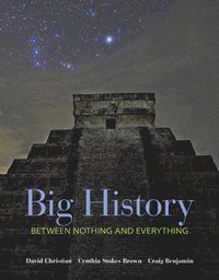 bokomslag Big History: Between Nothing and Everything