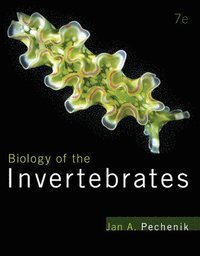 bokomslag Biology of the Invertebrates
