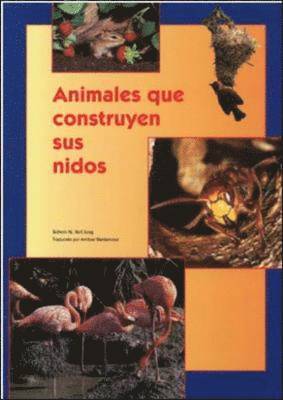 Pam Schiller, Douglas H. Clements, Rafael Lara-Alecio, Julie Sarama - DLM Early Childhood Express / Animals That Build Their Homes (animales Que Construyen Sus Nidos), Häftad