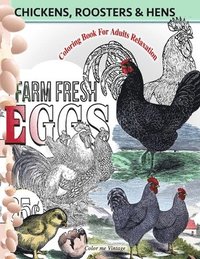 bokomslag Chickens, Roosters and Hens coloring book for adults