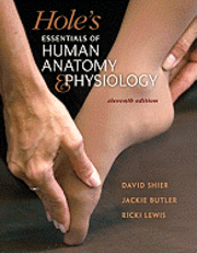 bokomslag Combo: Hole's Essentials of Human Anatomy & Physiology with Mediaphys Online & Connect Plus (Includes Apr & Phils Online Access)