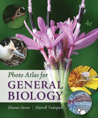 bokomslag Photo Atlas for General Biology