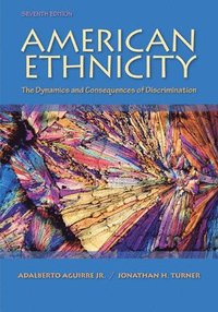 bokomslag American Ethnicity: The Dynamics and Consequences of Discrimination