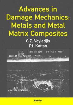 George Z. Voyiadjis - Advances in Damage Mechanics: Metals and Metal Matrix Composites, Inbunden