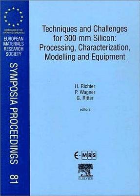 H. Richter, P. Wagner, G. Ritter - Techniques and Challenges for 300 mm Silicon: Processing, Characterization, Modelling and Equipment, Inbunden