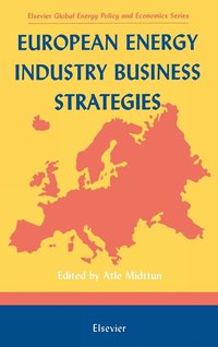 bokomslag European Energy Industry Business Strategies