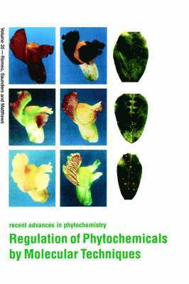 J.A. Saunders, B.F. Matthews, John Romeo - Regulation of Phytochemicals by Molecular Techniques, Inbunden