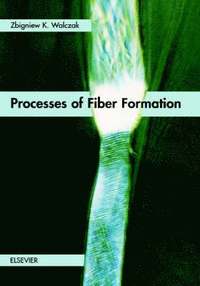 bokomslag Processes of Fiber Formation