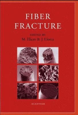 Fiber Fracture 1