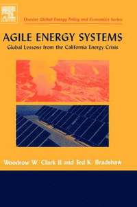 bokomslag Agile Energy Systems