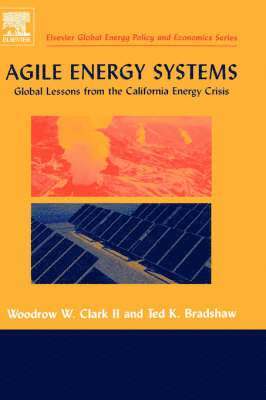 Woodrow W. Clark II, Ted Bradshaw - Agile Energy Systems, Inbunden
