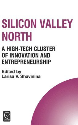 Silicon Valley North 1
