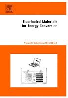 Tsuyoshi Nakajima, Henri Groult - Fluorinated Materials for Energy Conversion, Inbunden