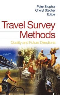 bokomslag Travel Survey Methods