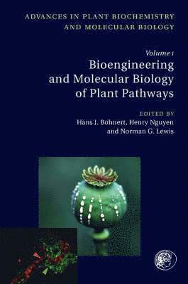 bokomslag Bioengineering and Molecular Biology of Plant Pathways