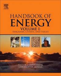 bokomslag Handbook of Energy