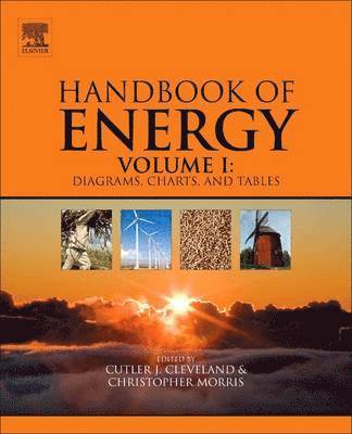 bokomslag Handbook of Energy