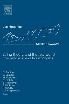 bokomslag String Theory and the Real World: From particle physics to astrophysics