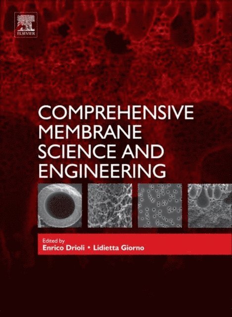 Enrico Drioli, Lidietta Giorno - Comprehensive Membrane Science and Engineering, Inbunden