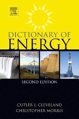 bokomslag Dictionary of Energy